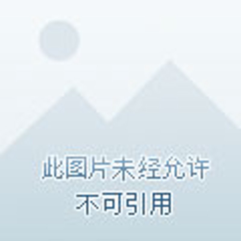 在线调查:开启企业洞察新窗口
